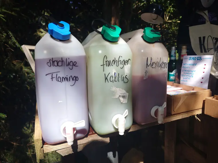 Kaktingo Festival – frische Impression 6